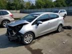 2015 KIA RIO