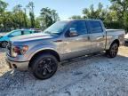 2013 FORD F150