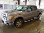 2014 FORD F150
