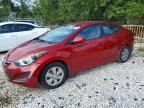 2016 HYUNDAI ELANTRA