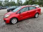 2013 KIA RIO