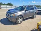 2011 FORD ESCAPE