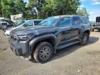2026 TOYOTA 4RUNNER
