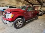 2013 FORD F150