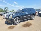 2008 CADILLAC ESCALADE