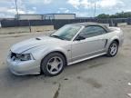 2000 FORD MUSTANG