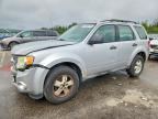 2010 FORD ESCAPE