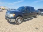 2010 FORD F150