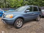 2005 HONDA PILOT