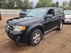 2010 FORD ESCAPE