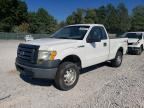 2010 FORD F150