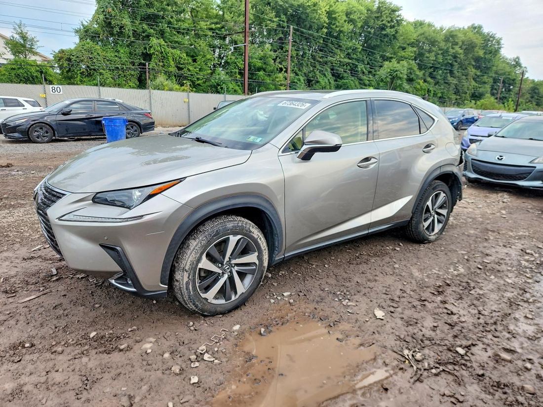 2019 LEXUS NX 300