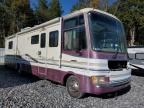 1999 FORD MOTORHOME CHASSIS