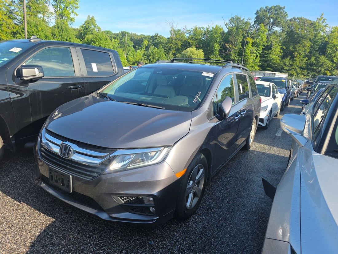 2019 HONDA EXL / EXL-NR