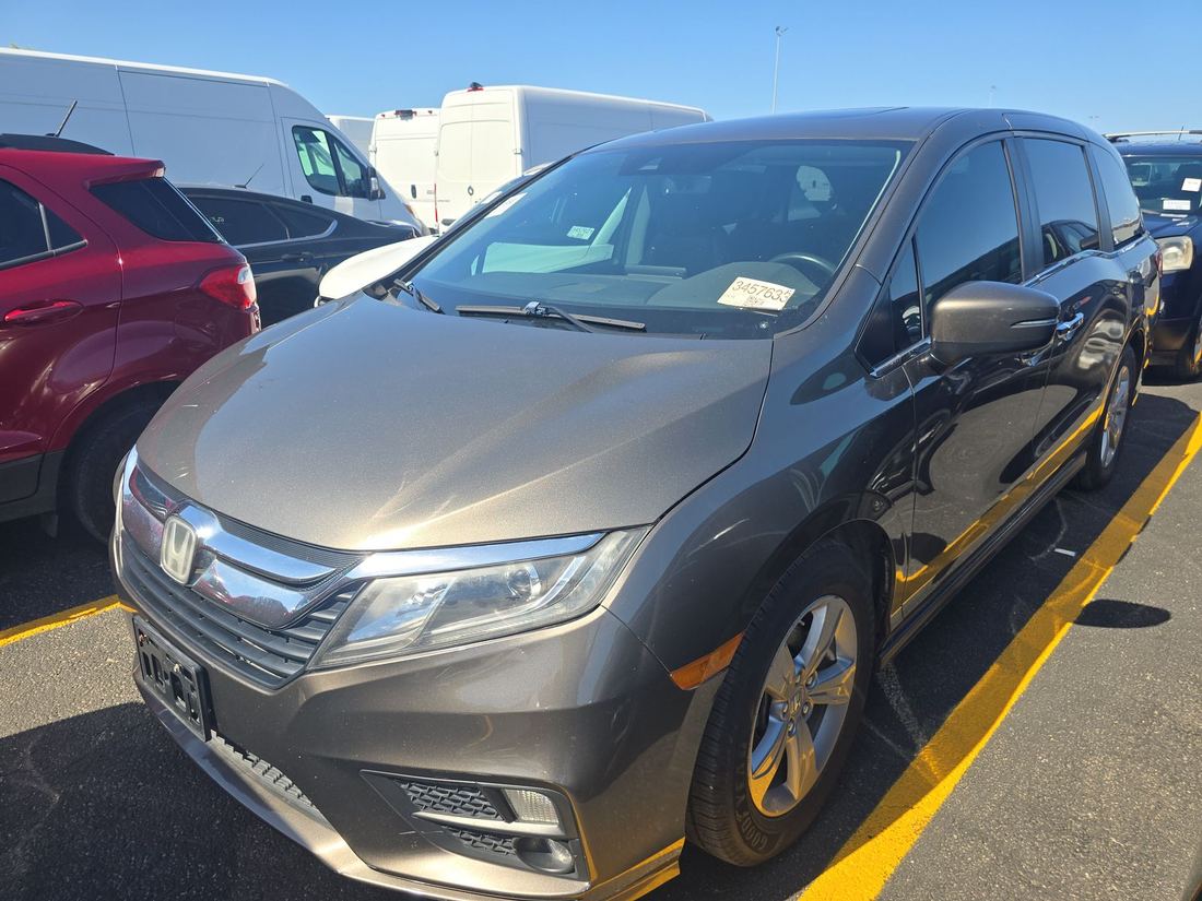 2019 HONDA EXL / EXL-NR