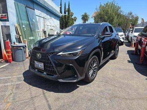 2024 Lexus 25 Series