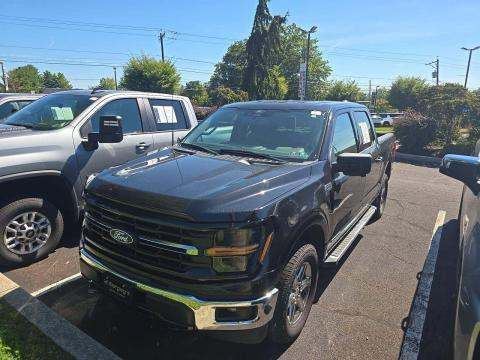 2024 Ford XLT