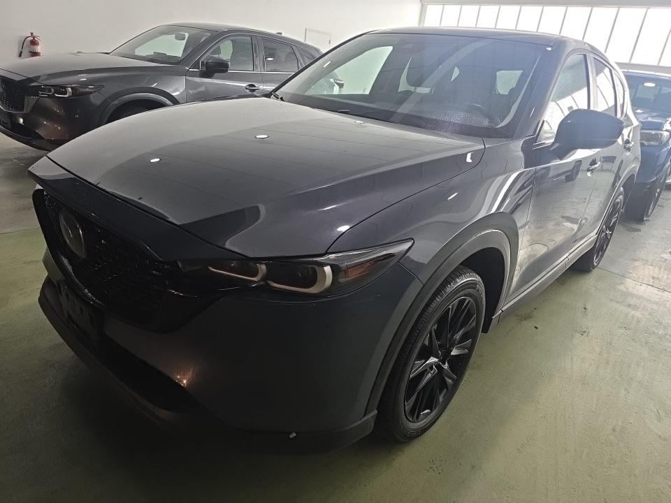 2025 MAZDA Preferred