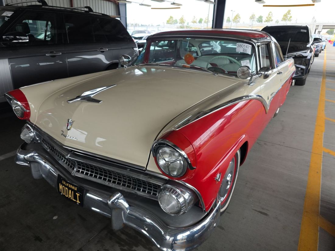 1955 FORD None